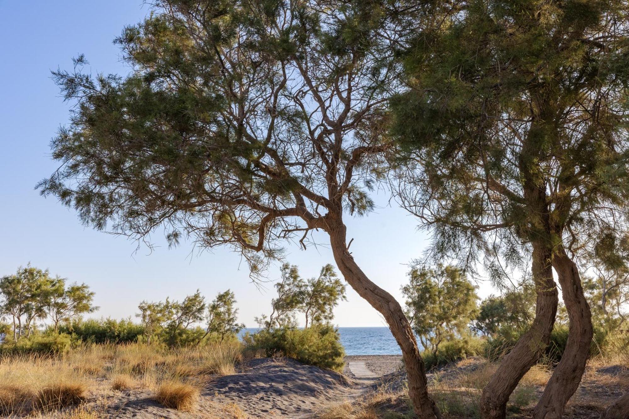 Scorpios Beach Monolithos  Ngoại thất bức ảnh